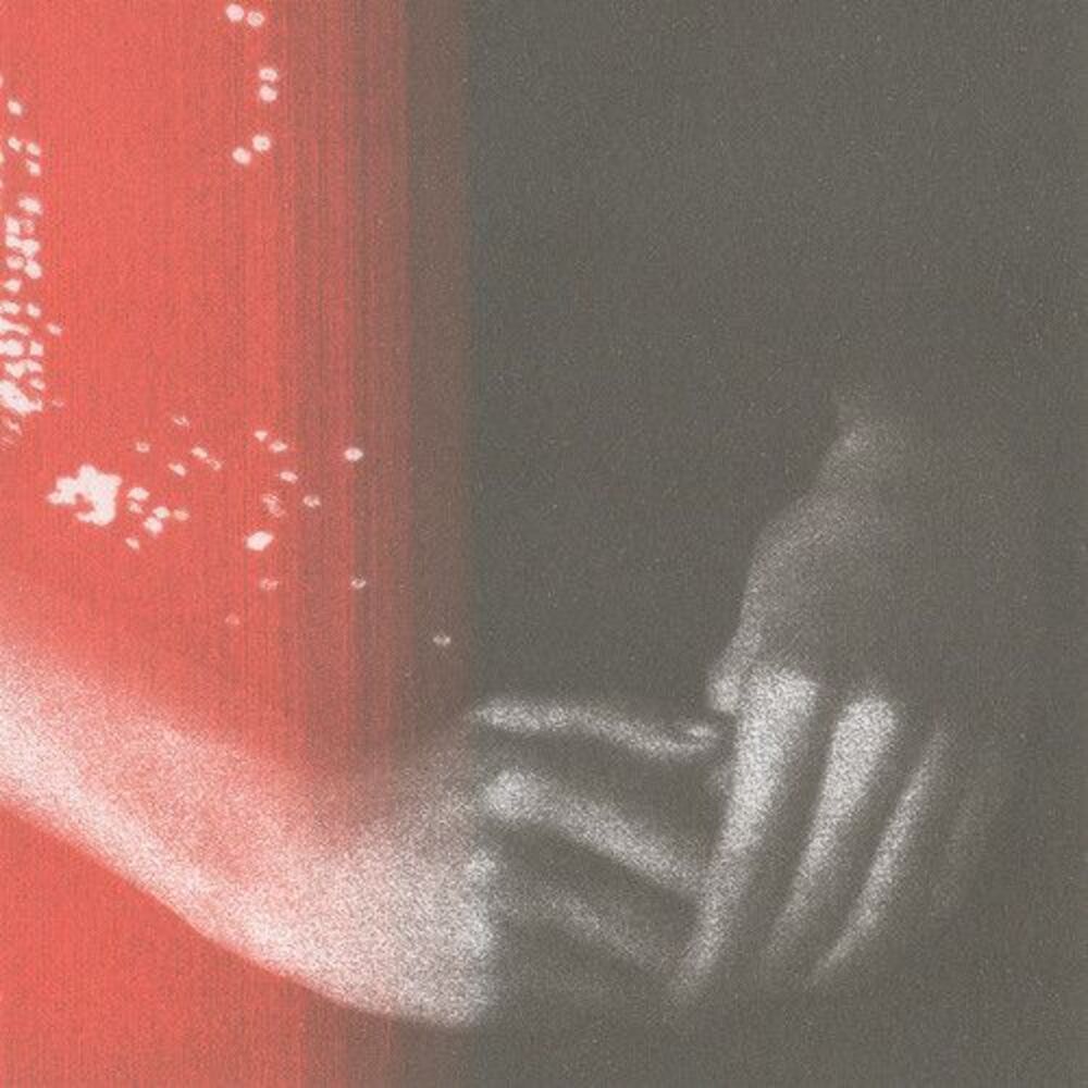Sontag Shogun - It Billows Up  LP LP